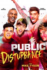 poster de la pelicula Public Disturbance gratis en HD
