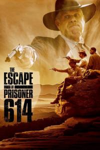 poster de la pelicula La fuga del prisionero 614 gratis en HD