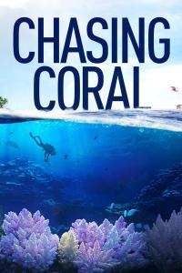 Poster En busca del coral