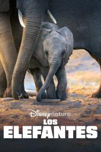 Poster Los Elefantes