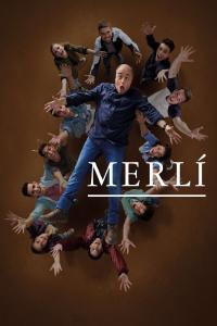 Poster Merlí
