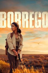 Poster Borrego – Sal del Camino