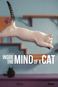 Poster Inside the Mind of a Cat
