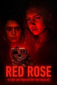 Poster Red Rose