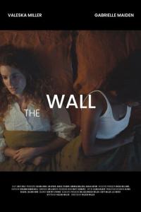 poster de la pelicula The Wall gratis en HD